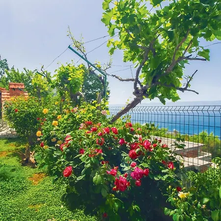 Apartment Stunning In Omis With Wifi